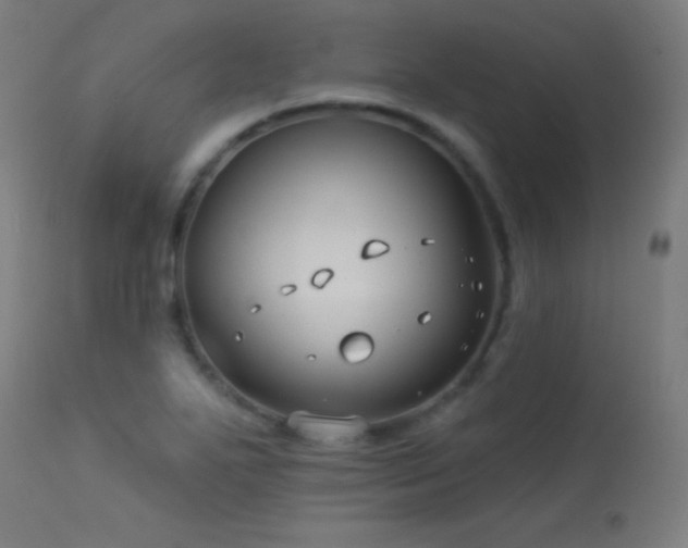 X0000114181271200910081450