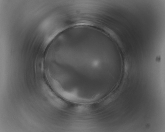 X0000114181274200910081450