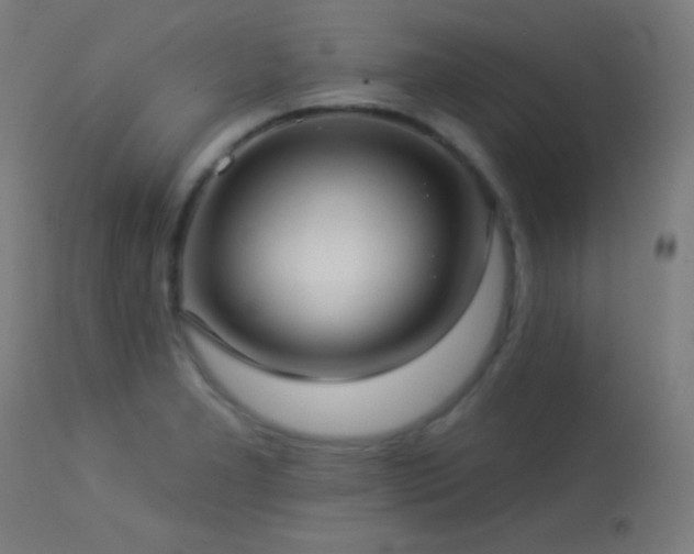 X0000114181277200910081450