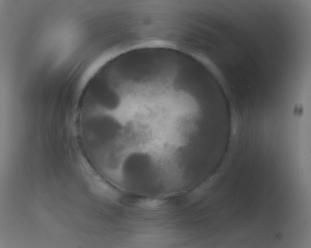X0000114181278200910081450