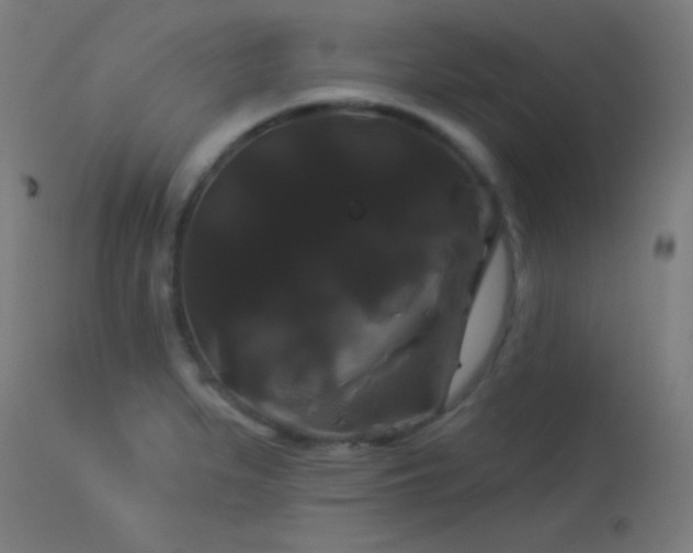 X0000114181279200910081450