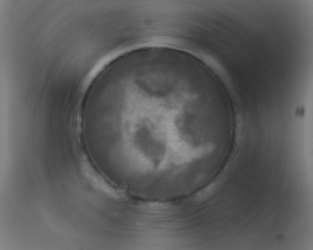 X0000114181280200910081450