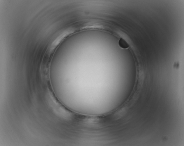 X0000114181282200910081450