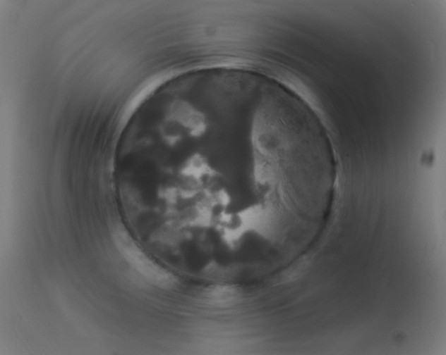 X0000114181283200910081450