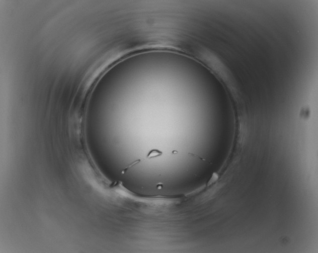 X0000114181284200910081450