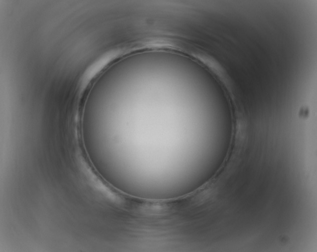 X0000114181286200910081450
