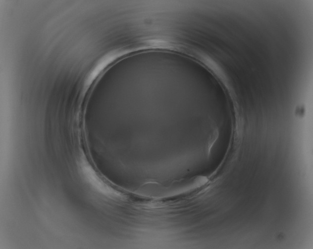 X0000114181291200910081450