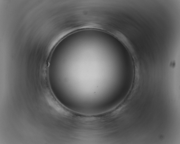 X0000114181292200910081450