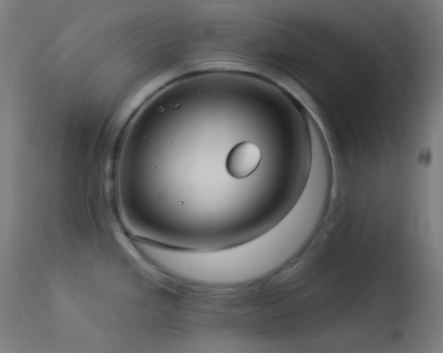 X0000114181293200910081450