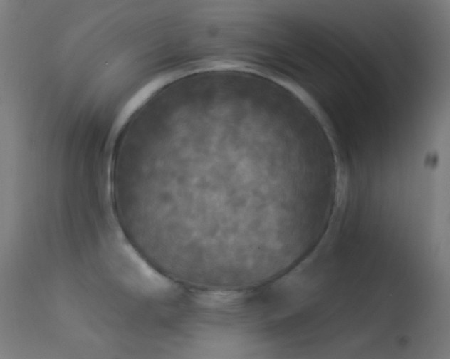 X0000114181294200910081450