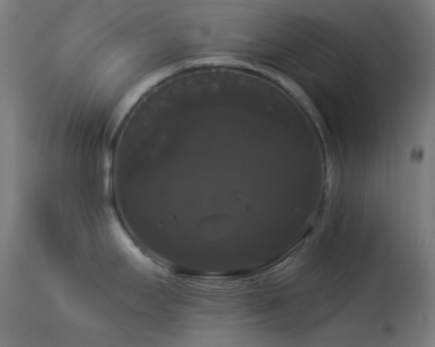 X0000114181295200910081450