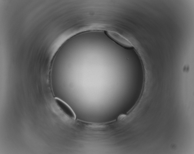 X0000114181296200910081450