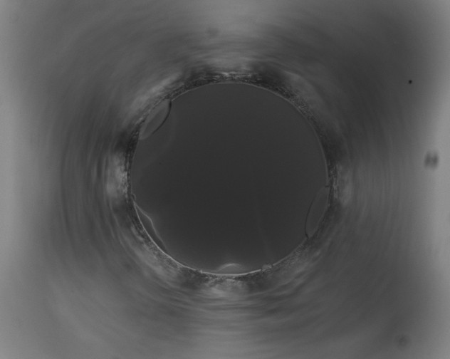 X0000114181298200910081449