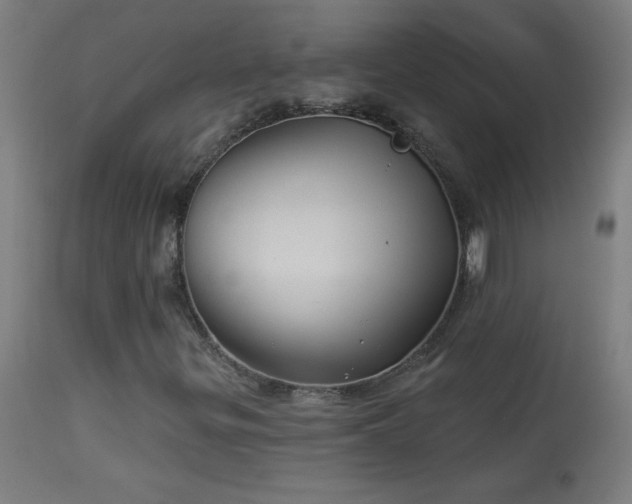 X0000114181299200910081449