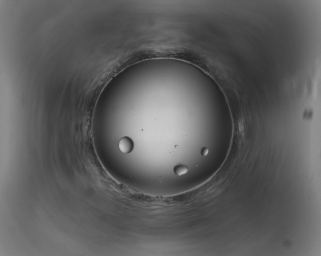 X0000114181300200910081449