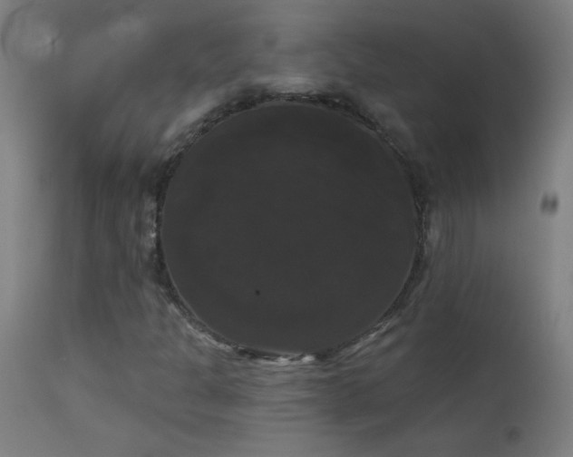 X0000114181301200910081449