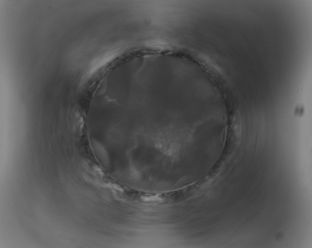 X0000114181302200910081449