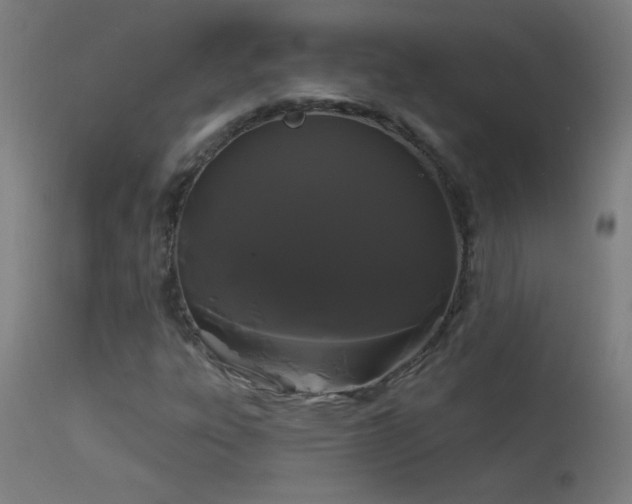 X0000114181303200910081449