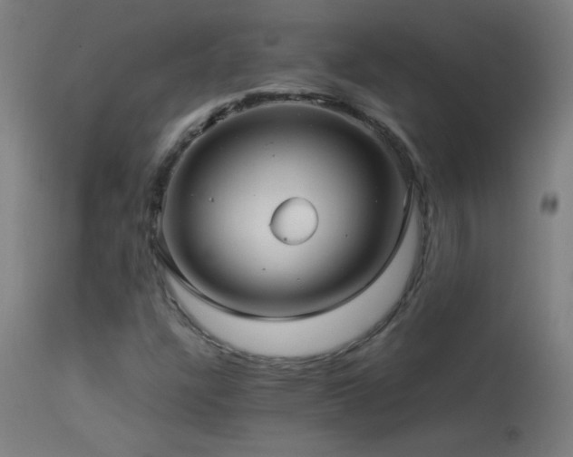 X0000114181304200910081449