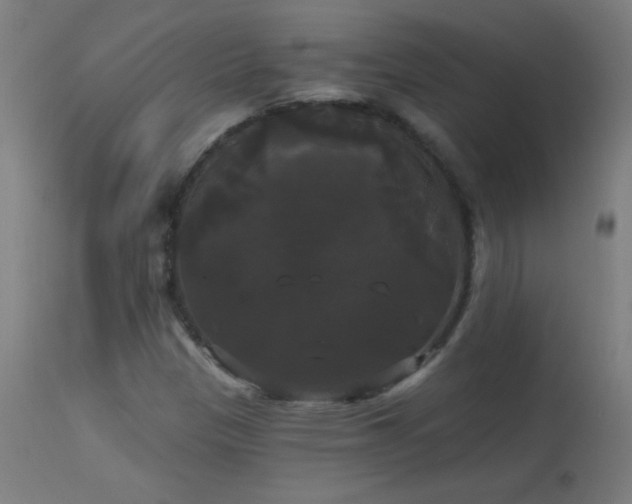 X0000114181305200910081449