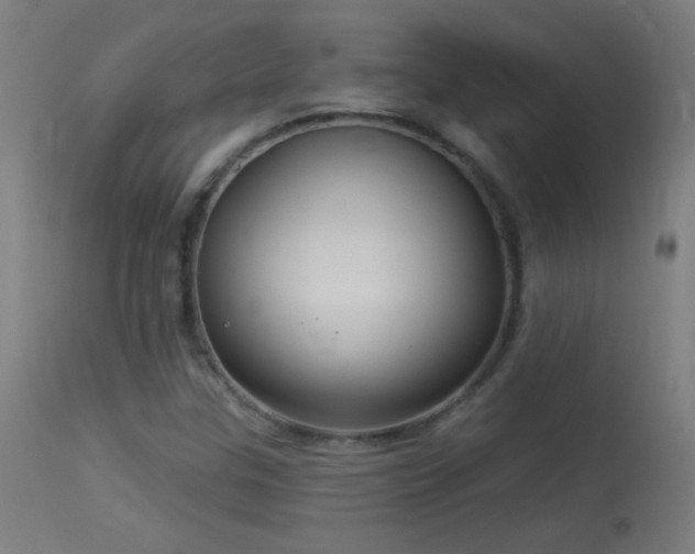 X0000114181307200910081449