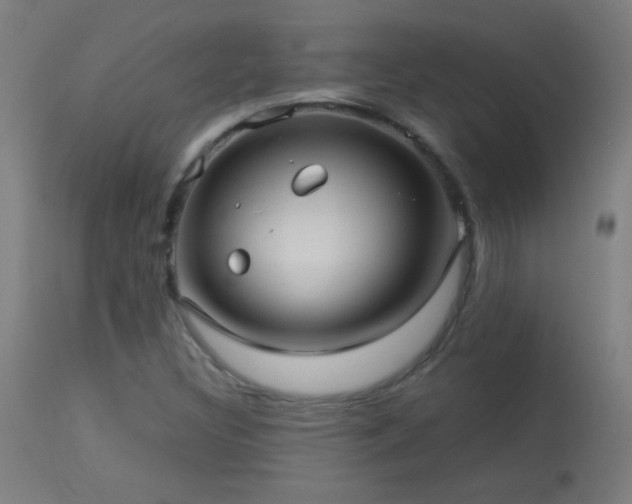 X0000114181308200910081449