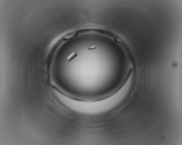 X0000114181310200910081449