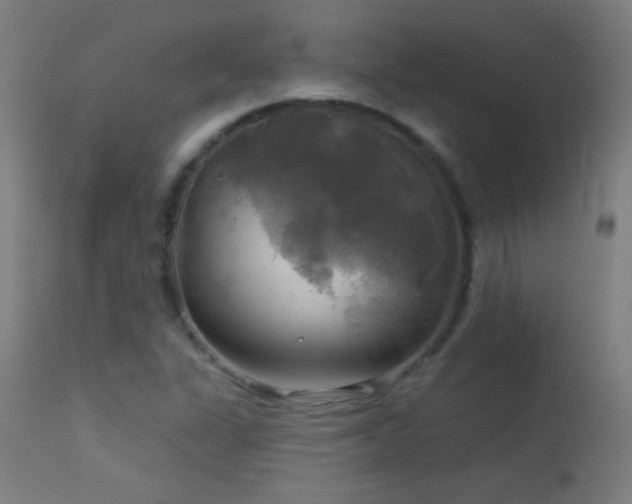 X0000114181311200910081449