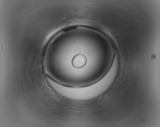 X0000114181312200910081449