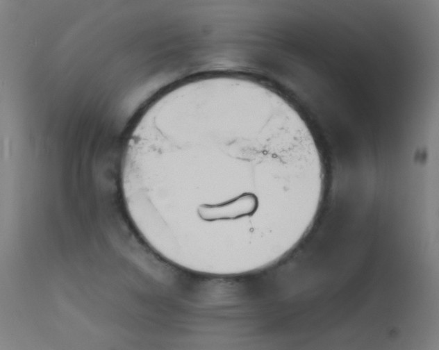 X0000114181314200910081450