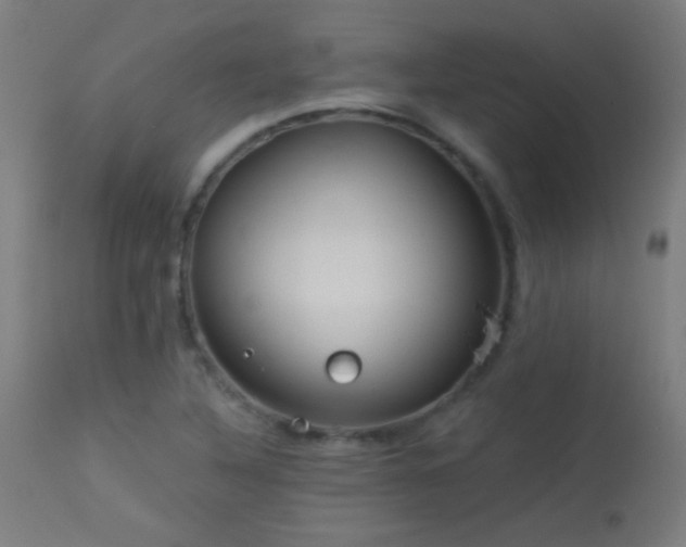 X0000114181316200910081450