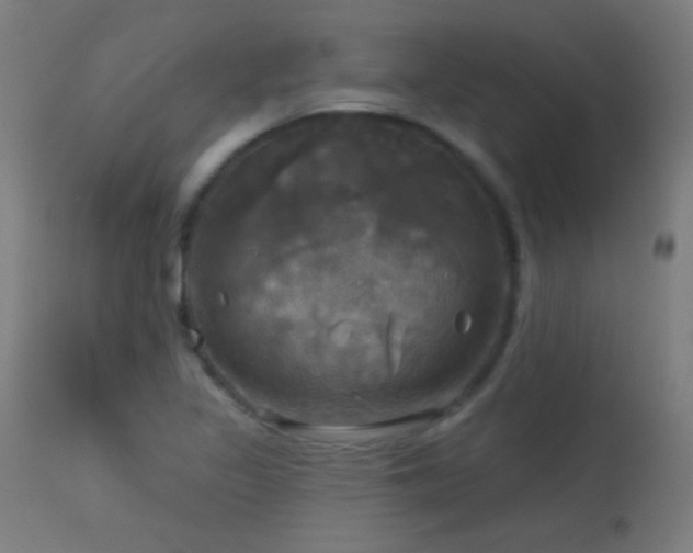 X0000114181317200910081450