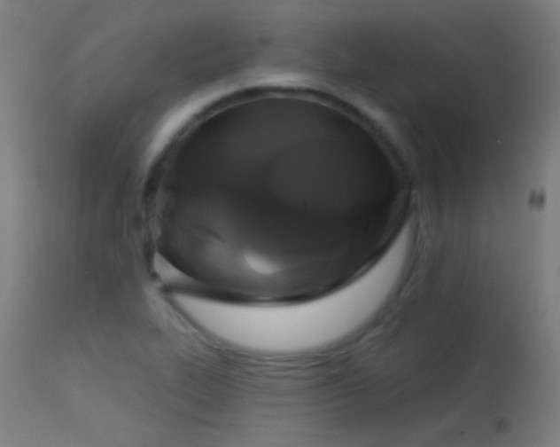 X0000114181319200910081450