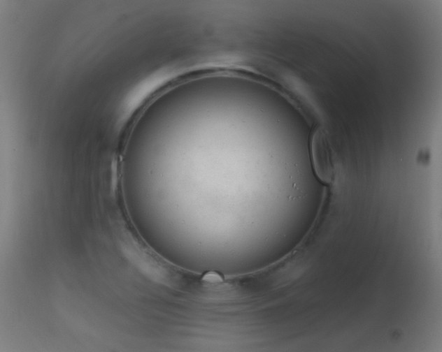 X0000114181320200910081450