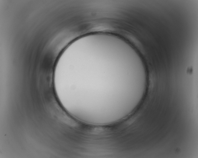 X0000114181322200910081450