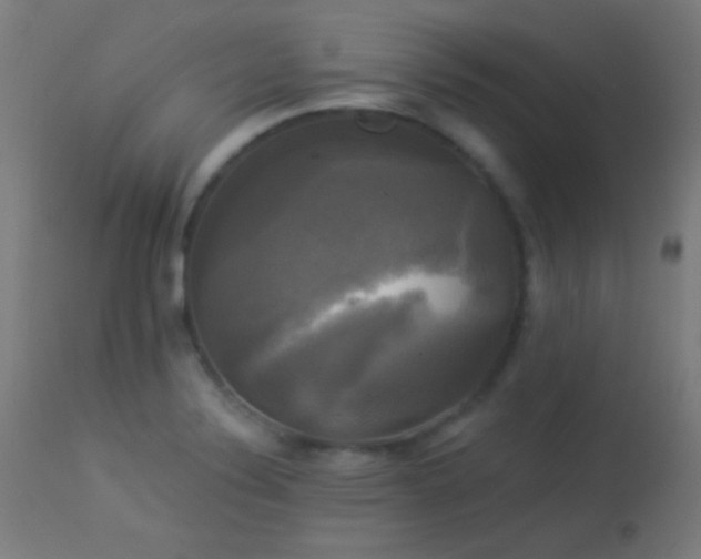 X0000114181324200910081450