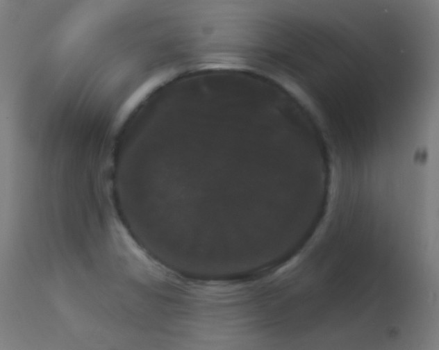 X0000114181325200910081450