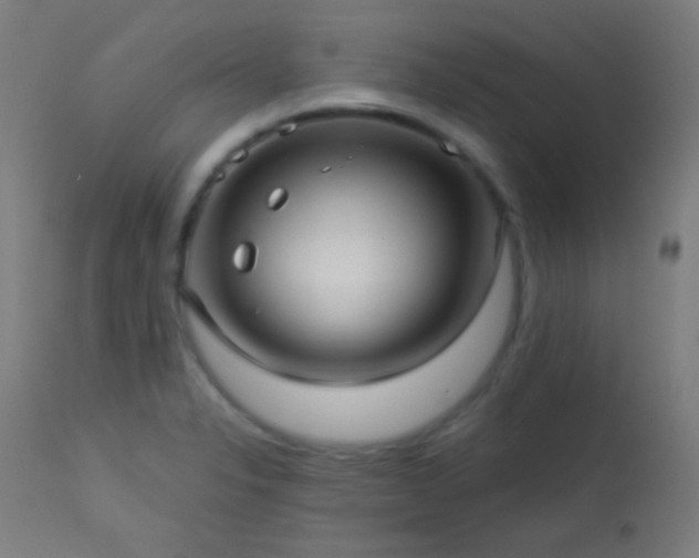 X0000114181326200910081450