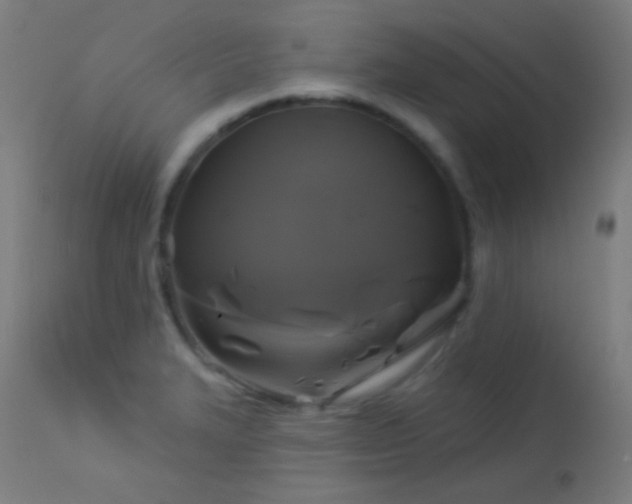 X0000114181327200910081450