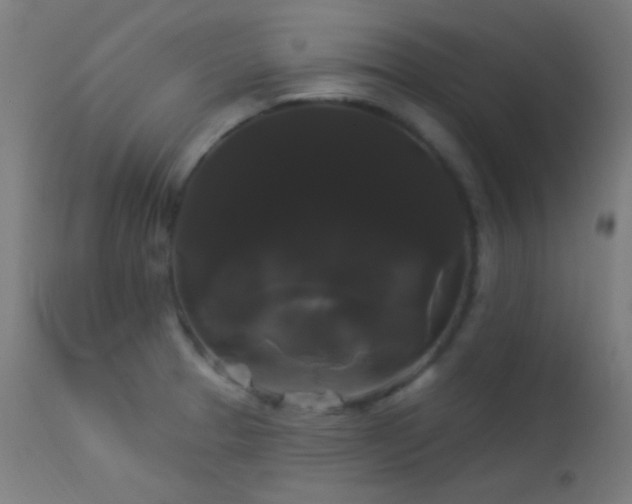 X0000114181329200910081450