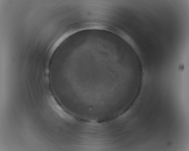 X0000114181332200910081450