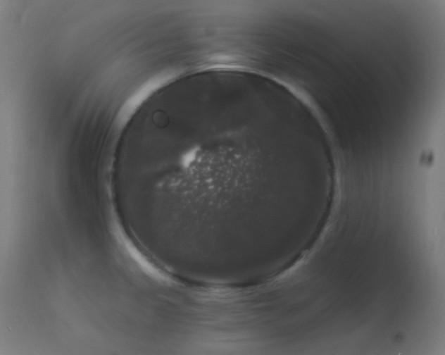 X0000114181333200910081450