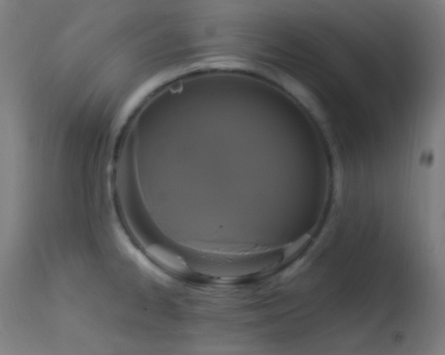 X0000114181334200910081450