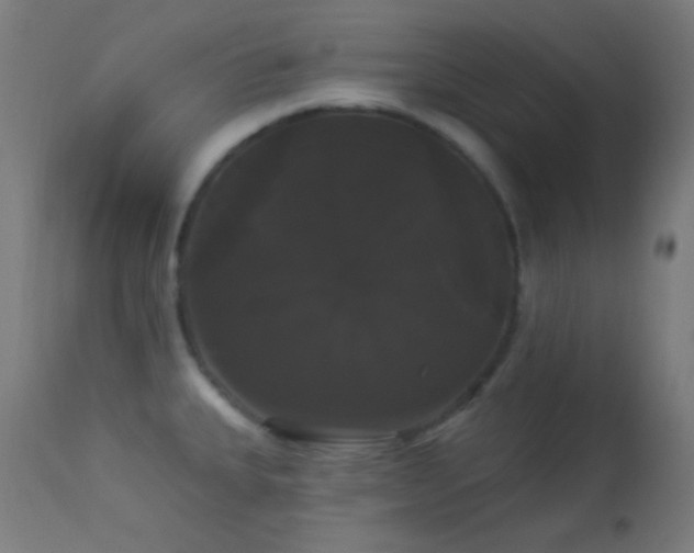 X0000114181335200910081450