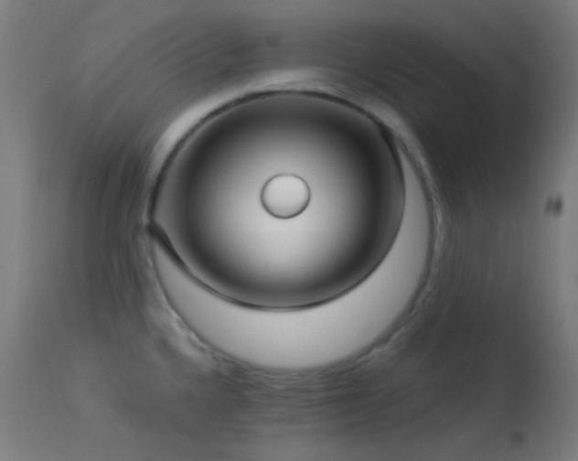 X0000114181336200910081450