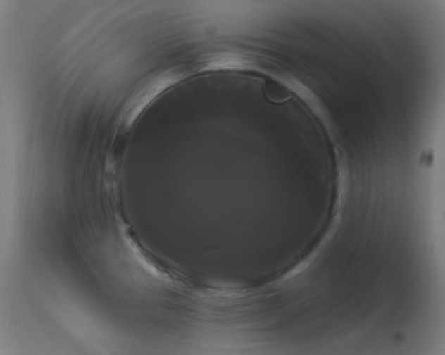 X0000114181337200910081450