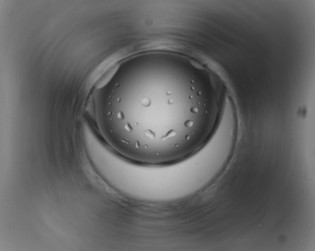 X0000114181338200910081450