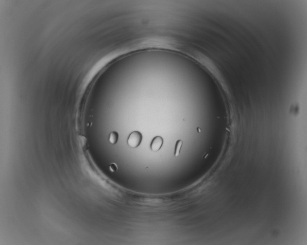 X0000114181339200910081450
