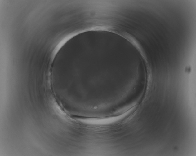 X0000114181340200910081450