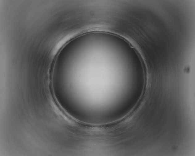 X0000114181341200910081450